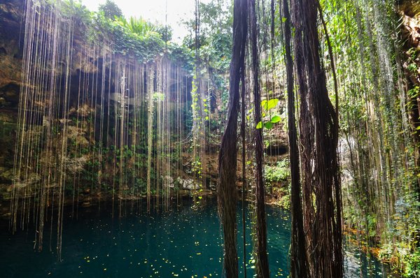 Où participer à une expédition de plongée dans les cenotes de la péninsule du Yucatán au Mexique?